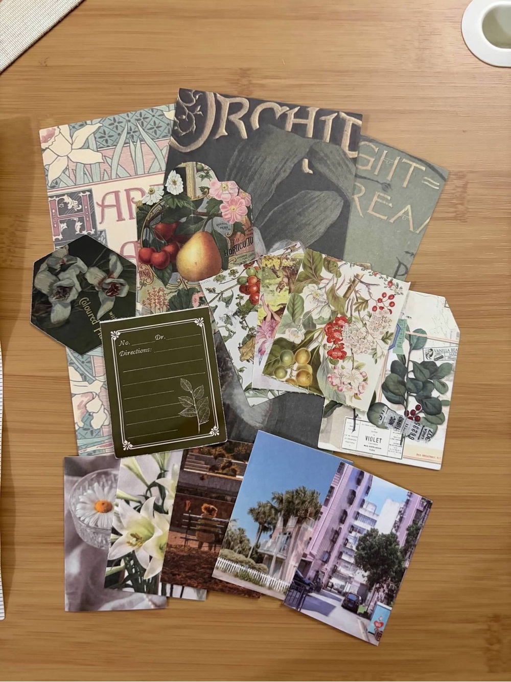 Botanical & Fruit Art Card Set - Multicolor Vintage Prints